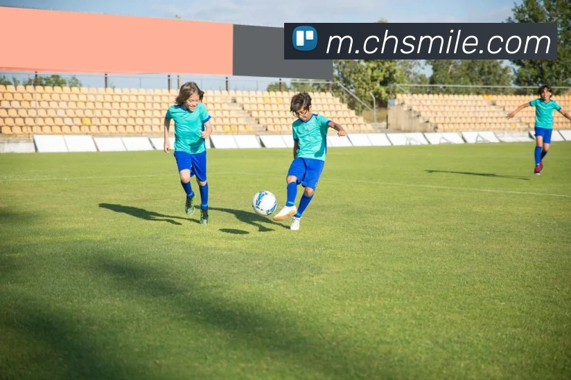 米乐m6APP 封面图